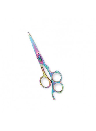 Professional Hair Cutting Scissors